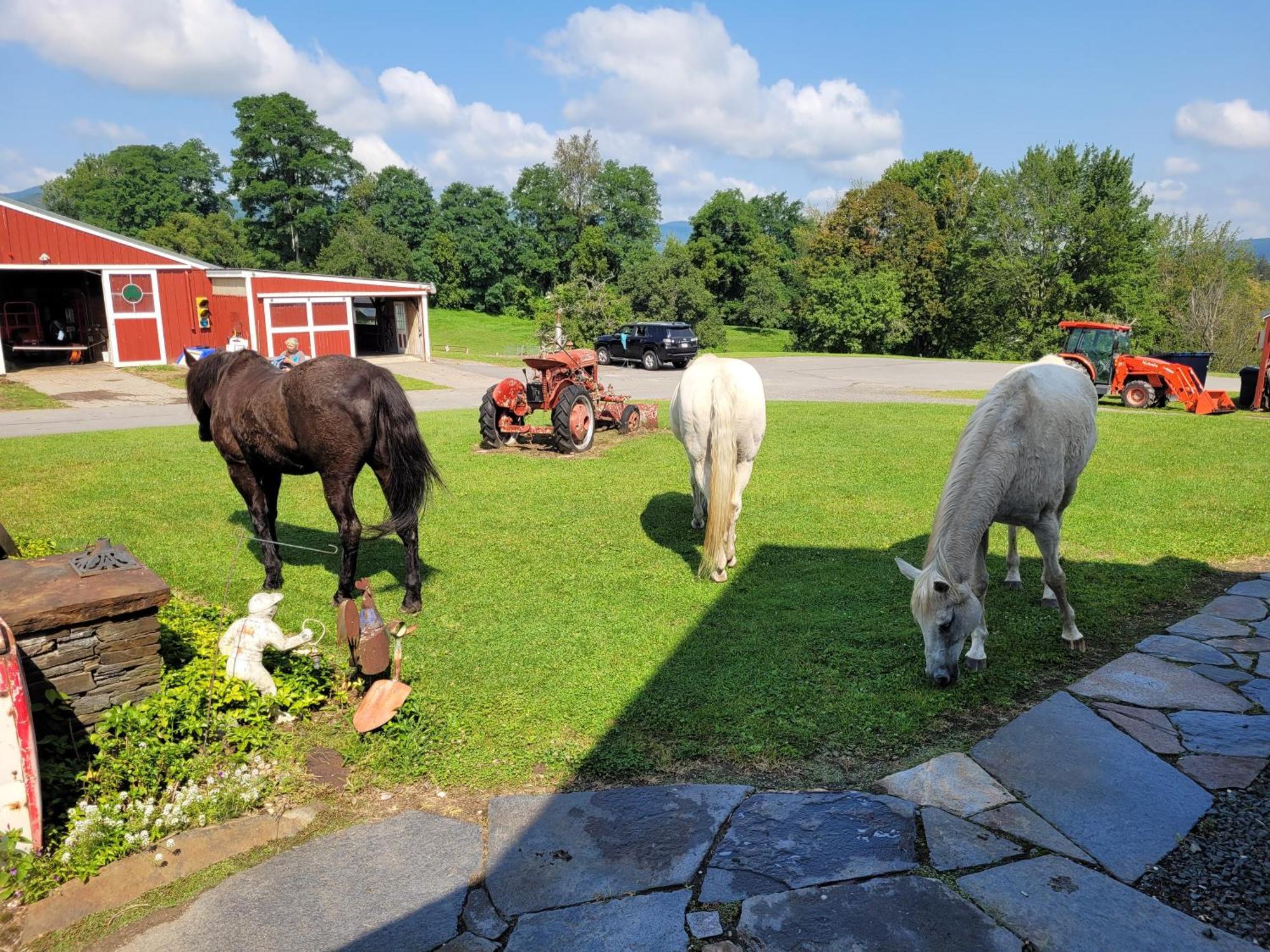 Clover Hill Farm & Country Inn Williamstown Ngoại thất bức ảnh