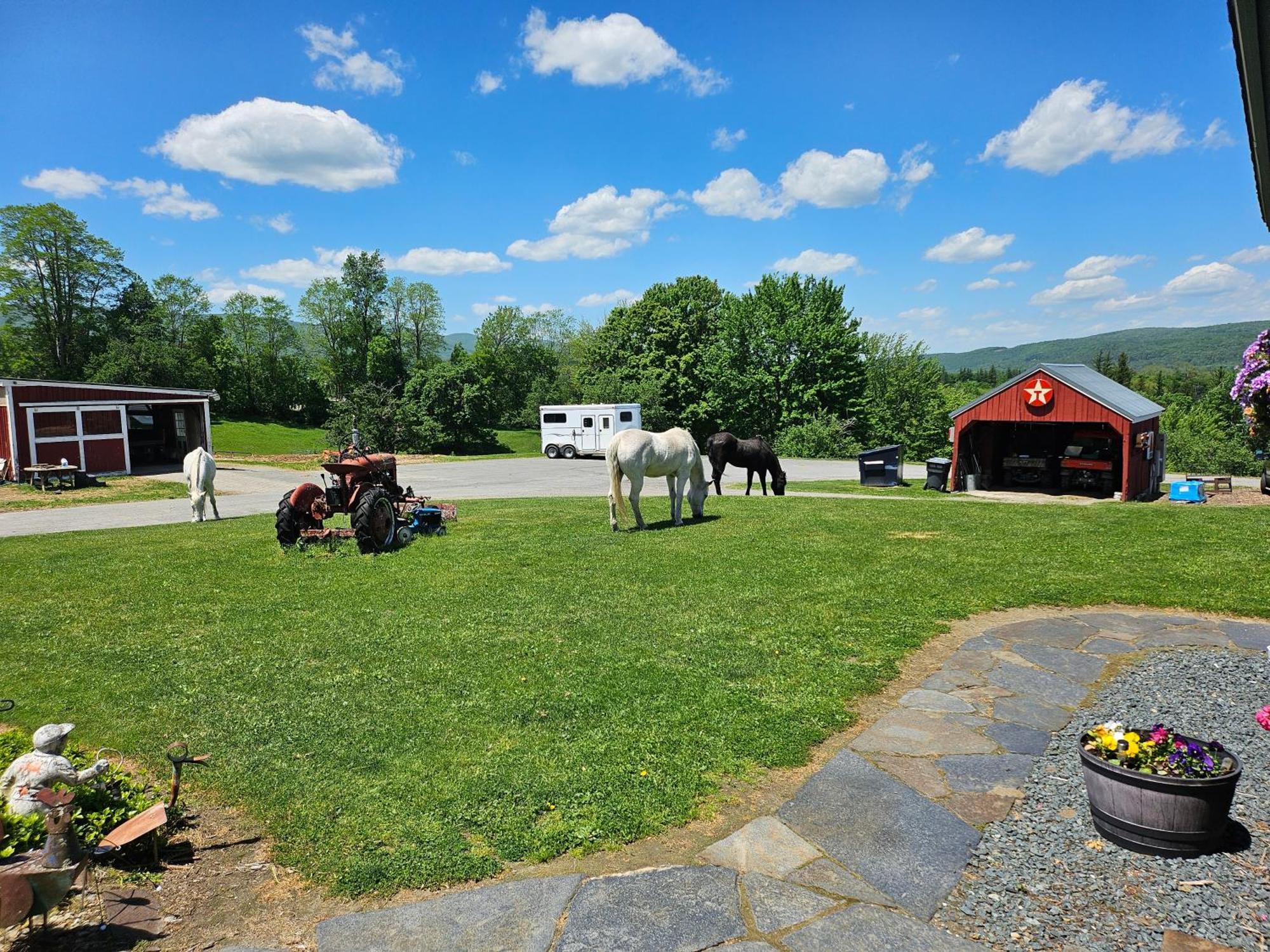 Clover Hill Farm & Country Inn Williamstown Ngoại thất bức ảnh