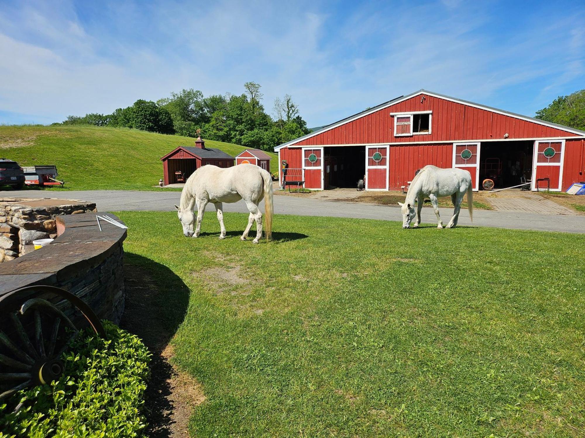 Clover Hill Farm & Country Inn Williamstown Ngoại thất bức ảnh